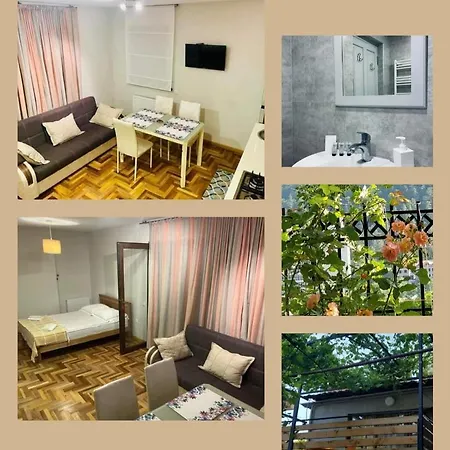 Nina Apartment Borjomi Exterior photo